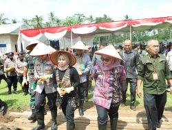 Bupati Lamtim Hadiri Panen Raya Jagung di Desa Bandaragung